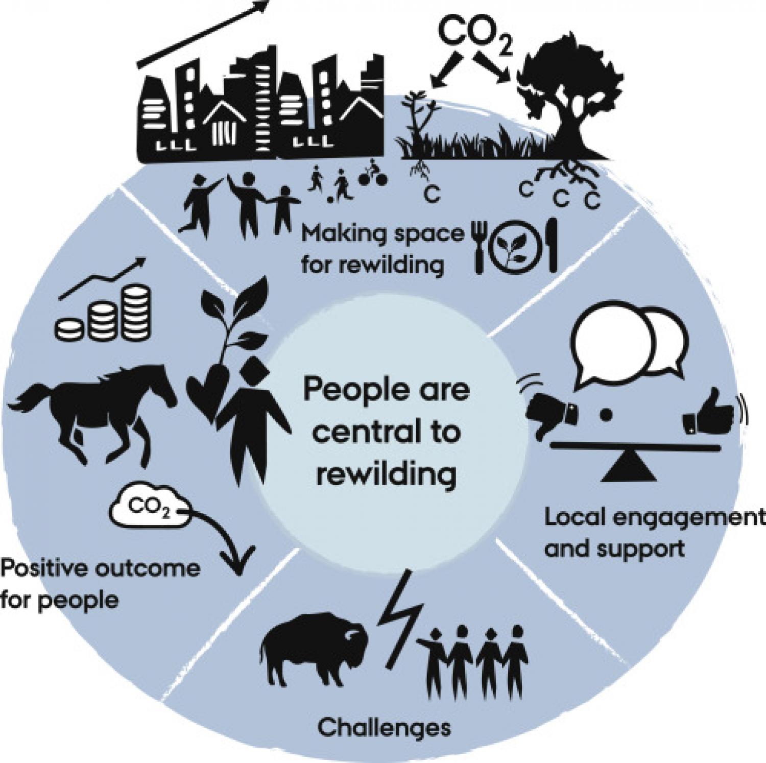 Key aspects of the multi-scale, complex roles of people in rewilding