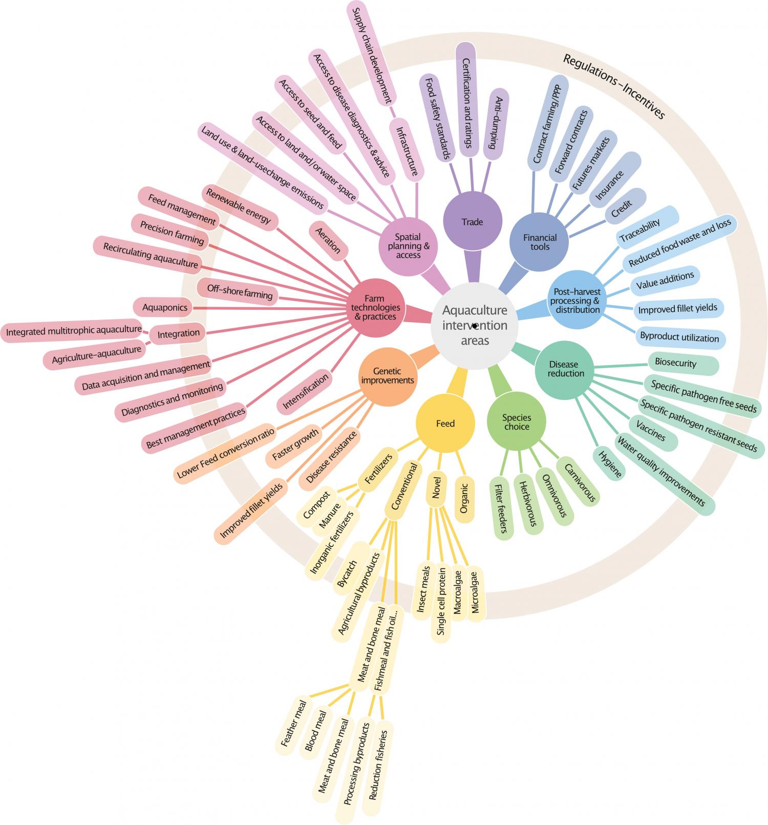 Mind map of the most promising aquaculture intervention areas