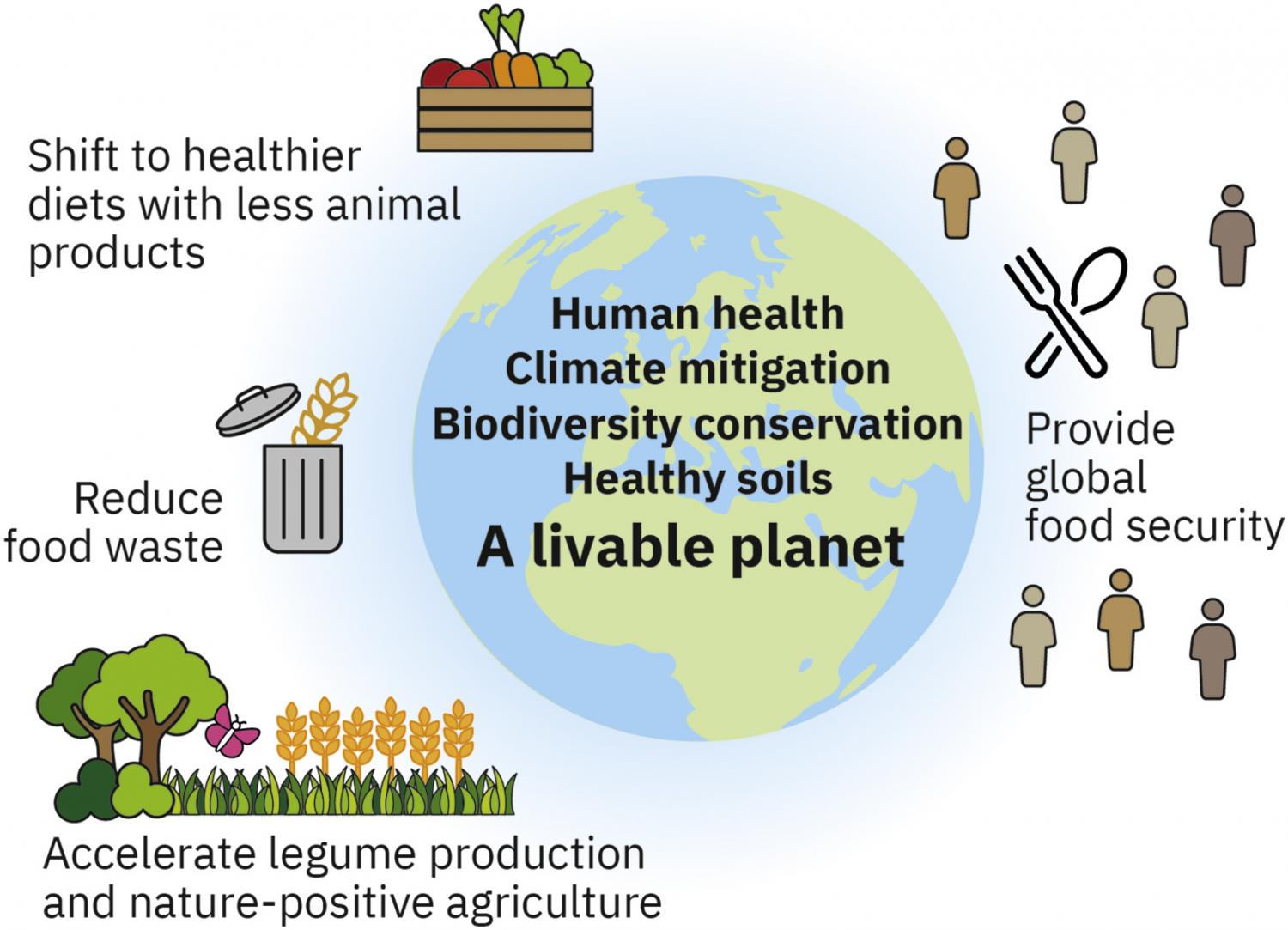Three key levers to address food insecurity today while also ensuring human health and long-term sustainable development