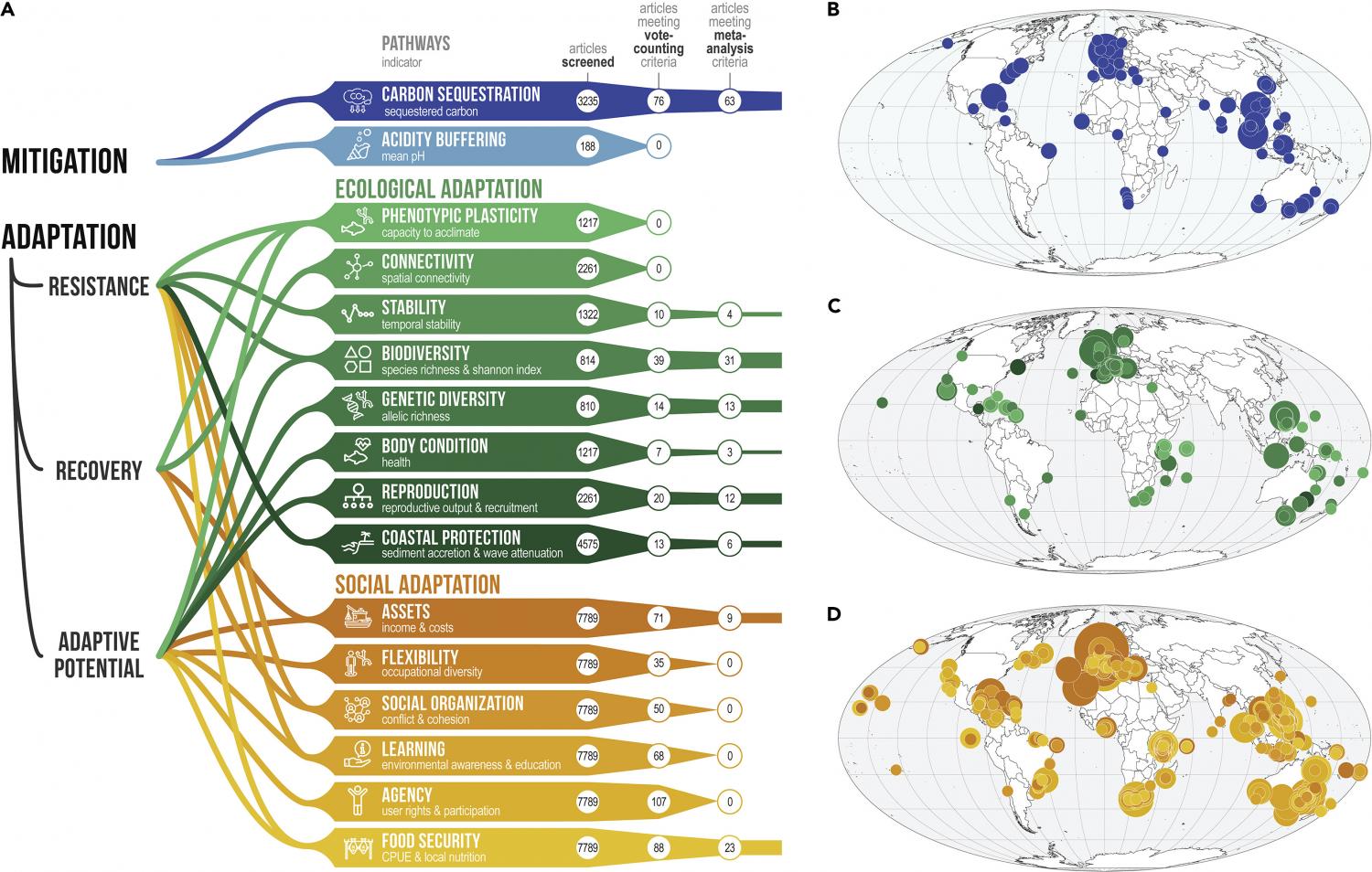 Pathways through which MPAs can contribute to climate change mitigation or adaptation, with quantitative and spatial assessment of available information