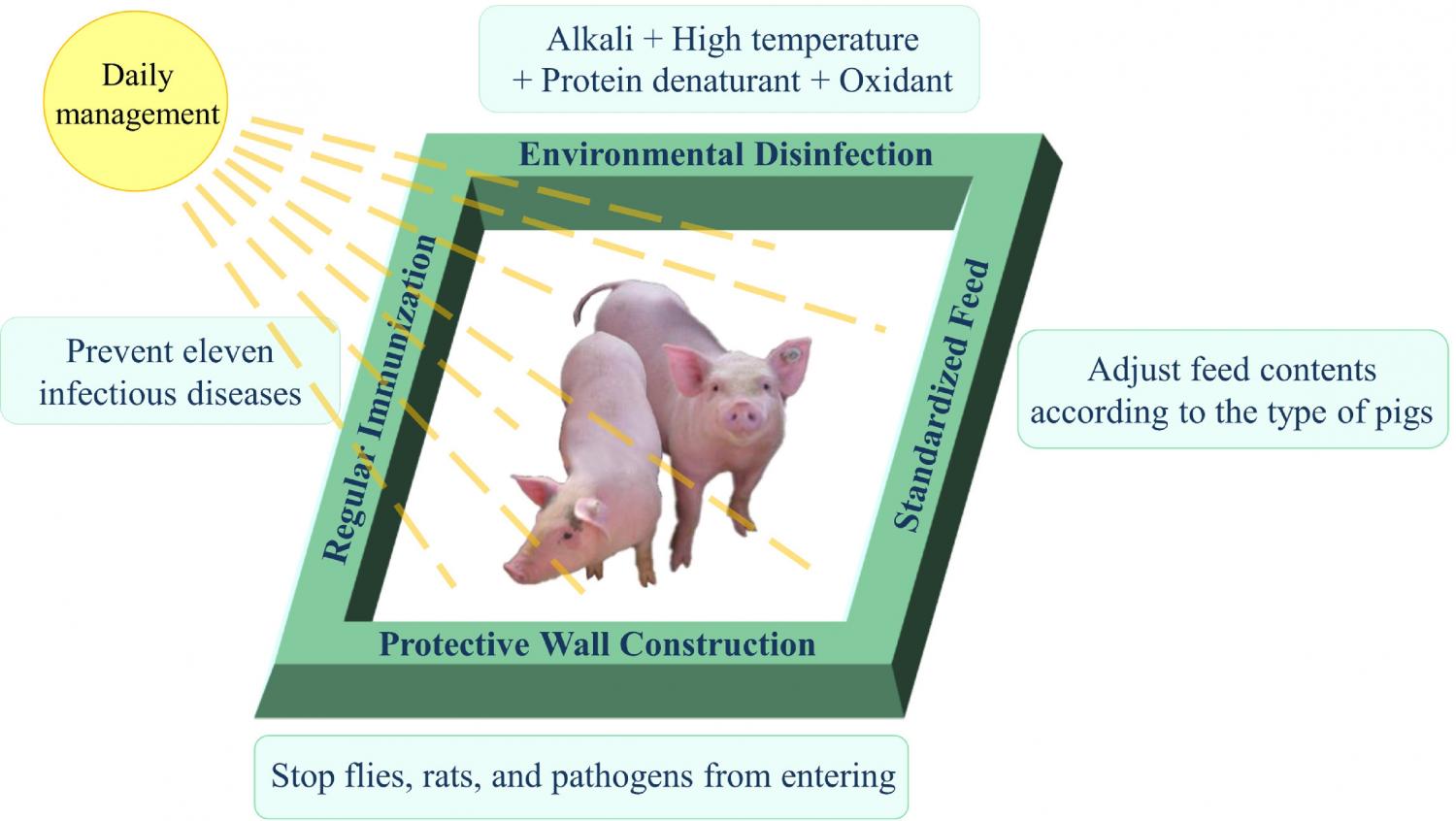 Illustration of the QPP. The pigs were protected by four different procedures (labeled on the green walls). The summary of each procedure is, respectively, listed in the light blue rectangles.