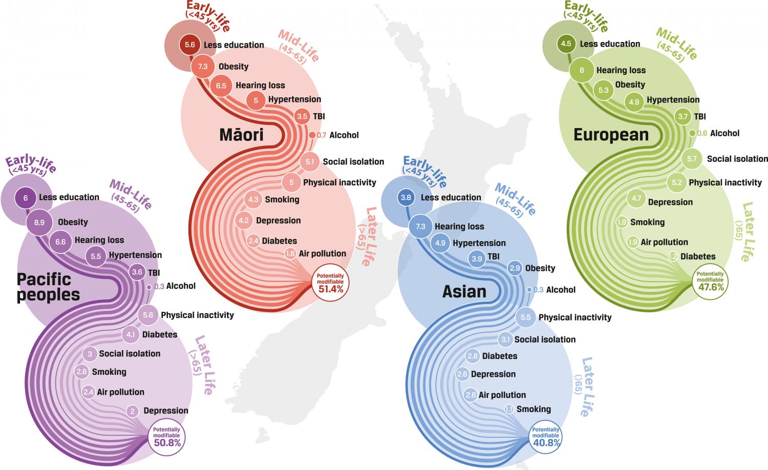 Relative PAF contributions of each risk factor across four ethnic groups in New Zealand