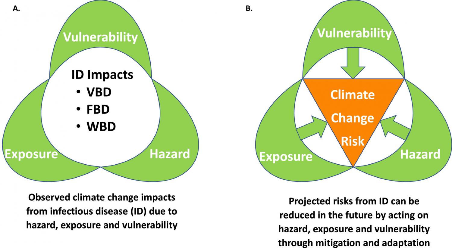 Climate change impacts on infectious diseases and policy entry points for reducing climate change risks from hazards, exposure and vulnerability.