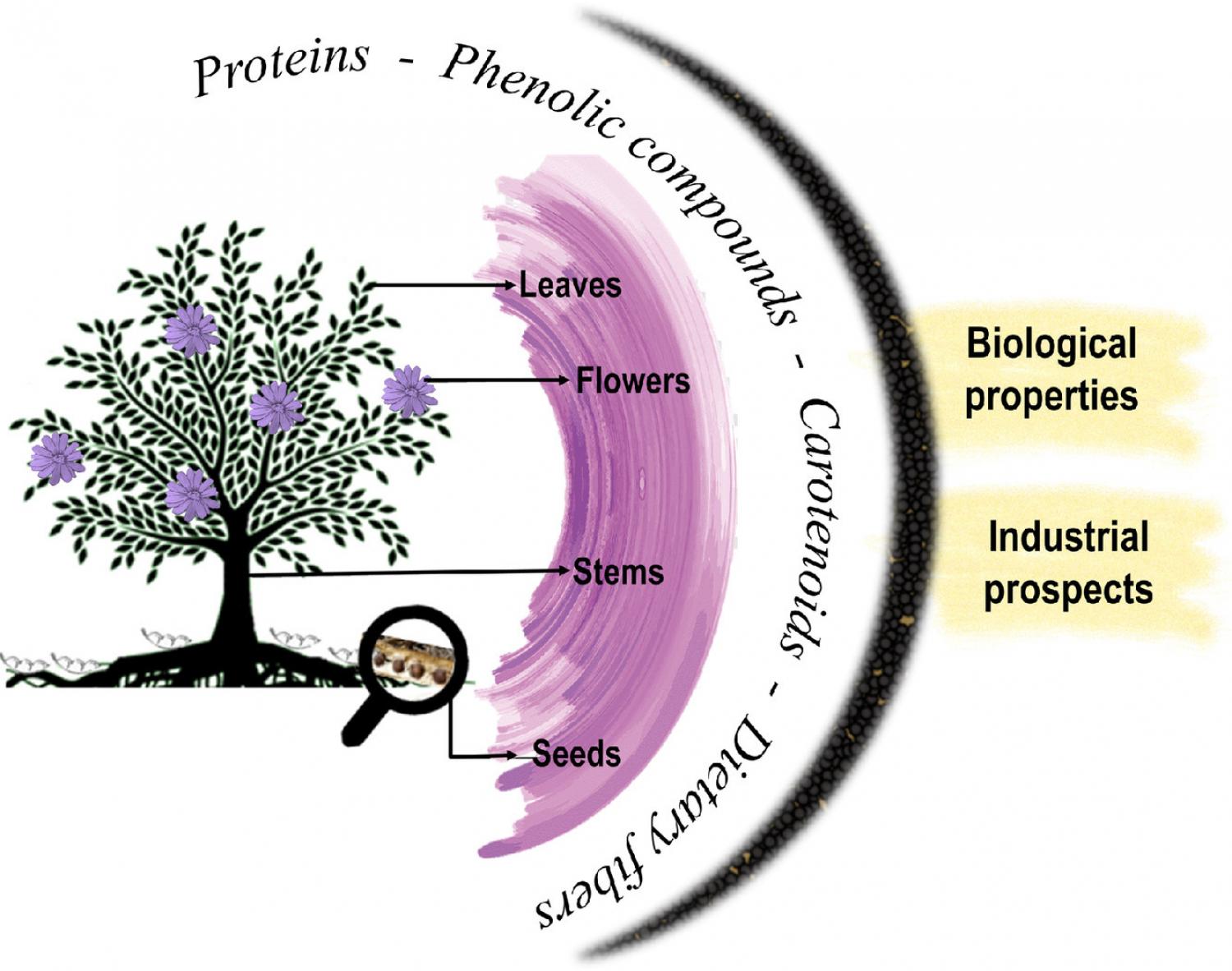 Graphical abstract of article Graphical abstract of article