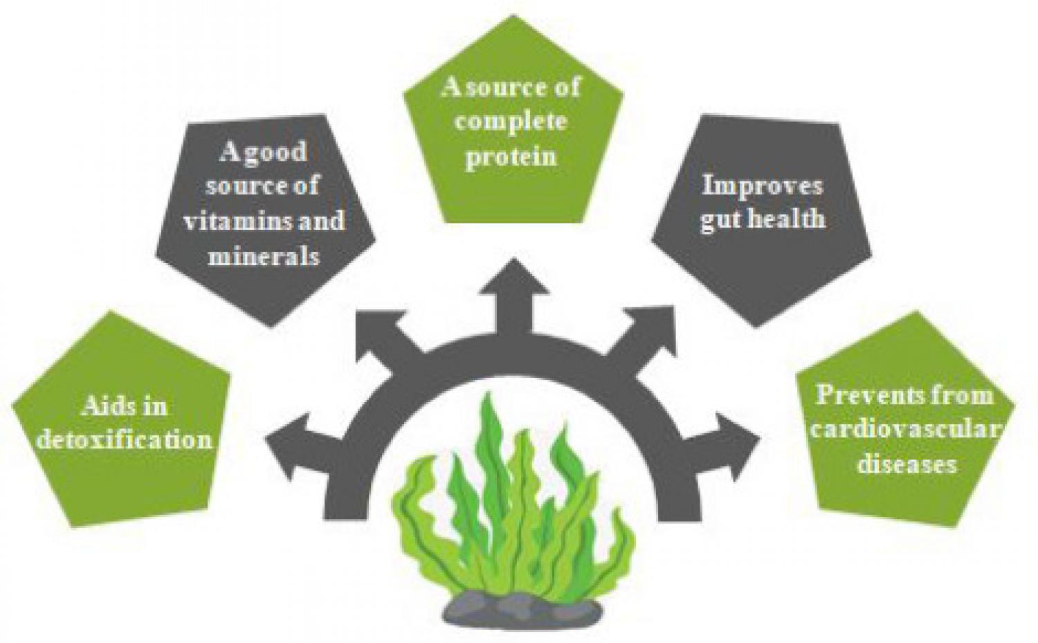 Health promoting properties of seaweed. Health promoting properties of seaweed.