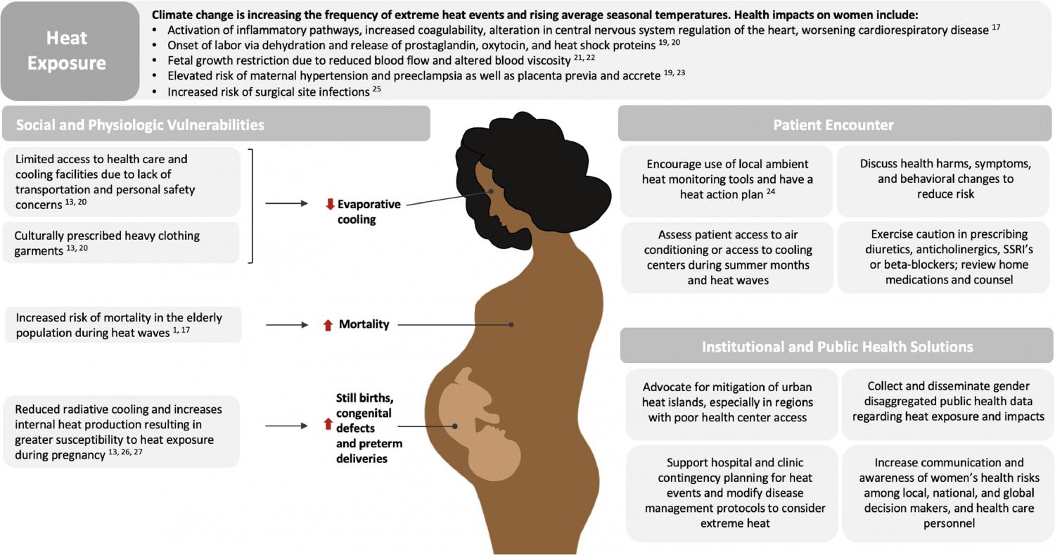 Women's health vulnerabilities to heat exposure and clinical, institutional, and public health solutions.