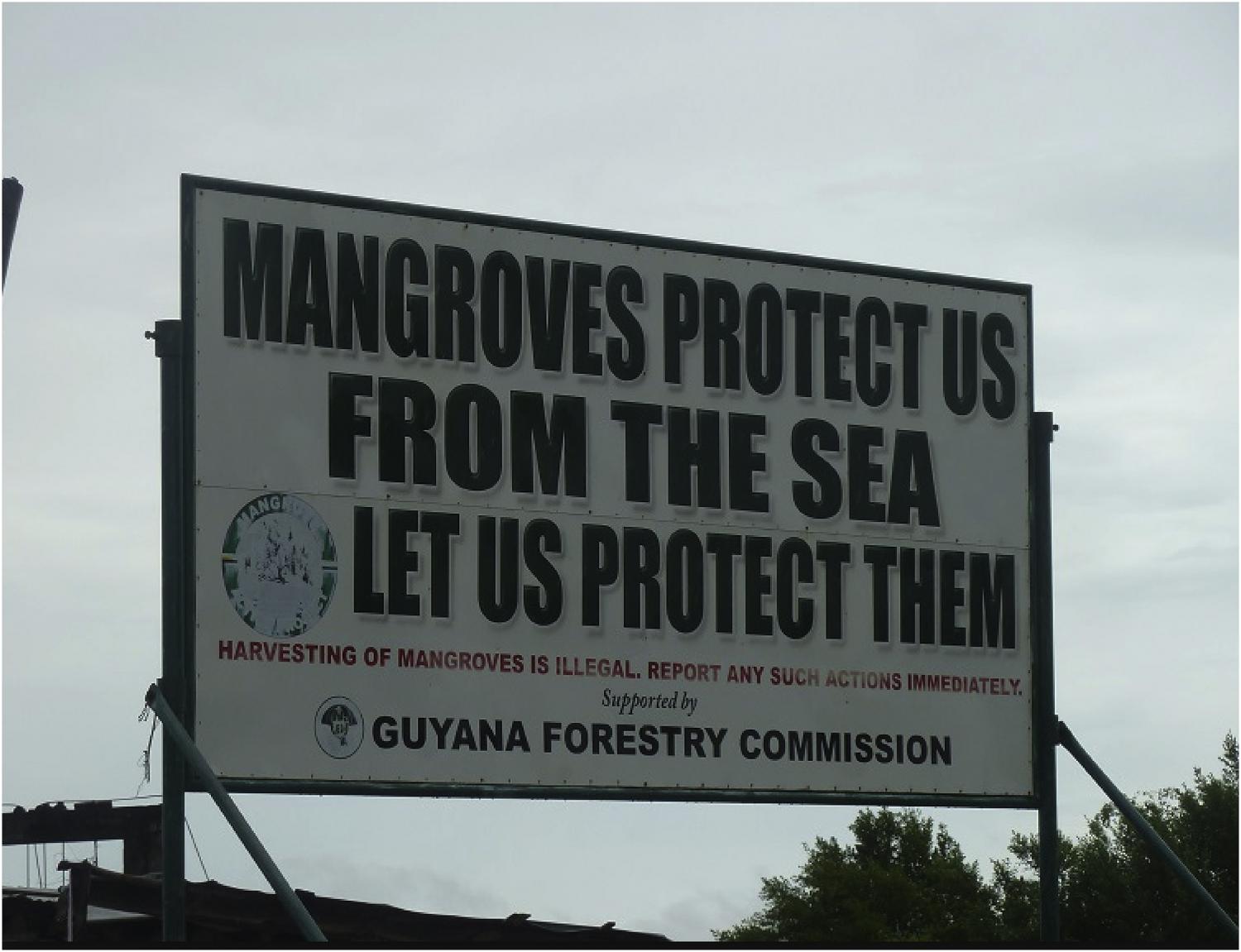 Example signage in Guyana showing the government's effort to inform the public about the protection benefits provided by mangroves against storm surge (photo credit: Carinya Sharples/Mongabay; used with permission).