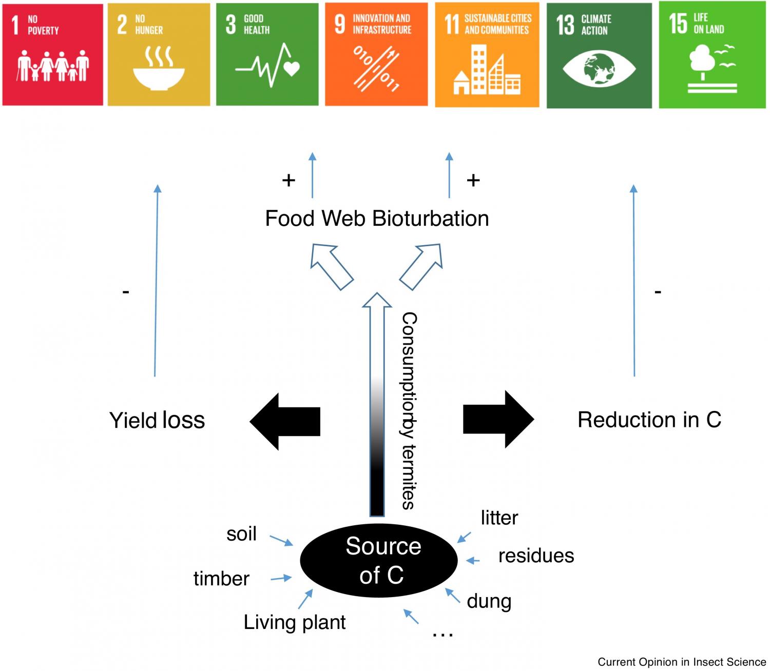 Schematic representation of the impact of termites on SDGs.