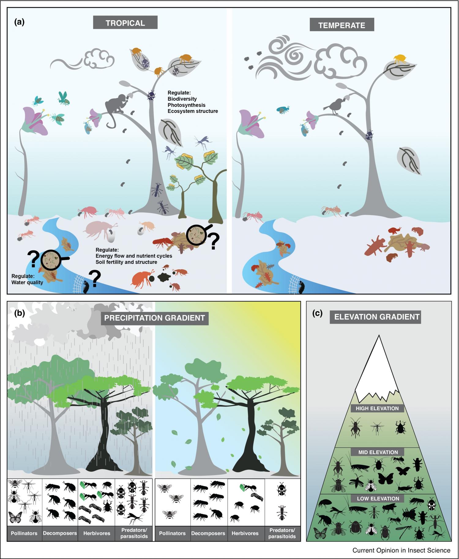 Ecosystem services provided by insects in natural systems.