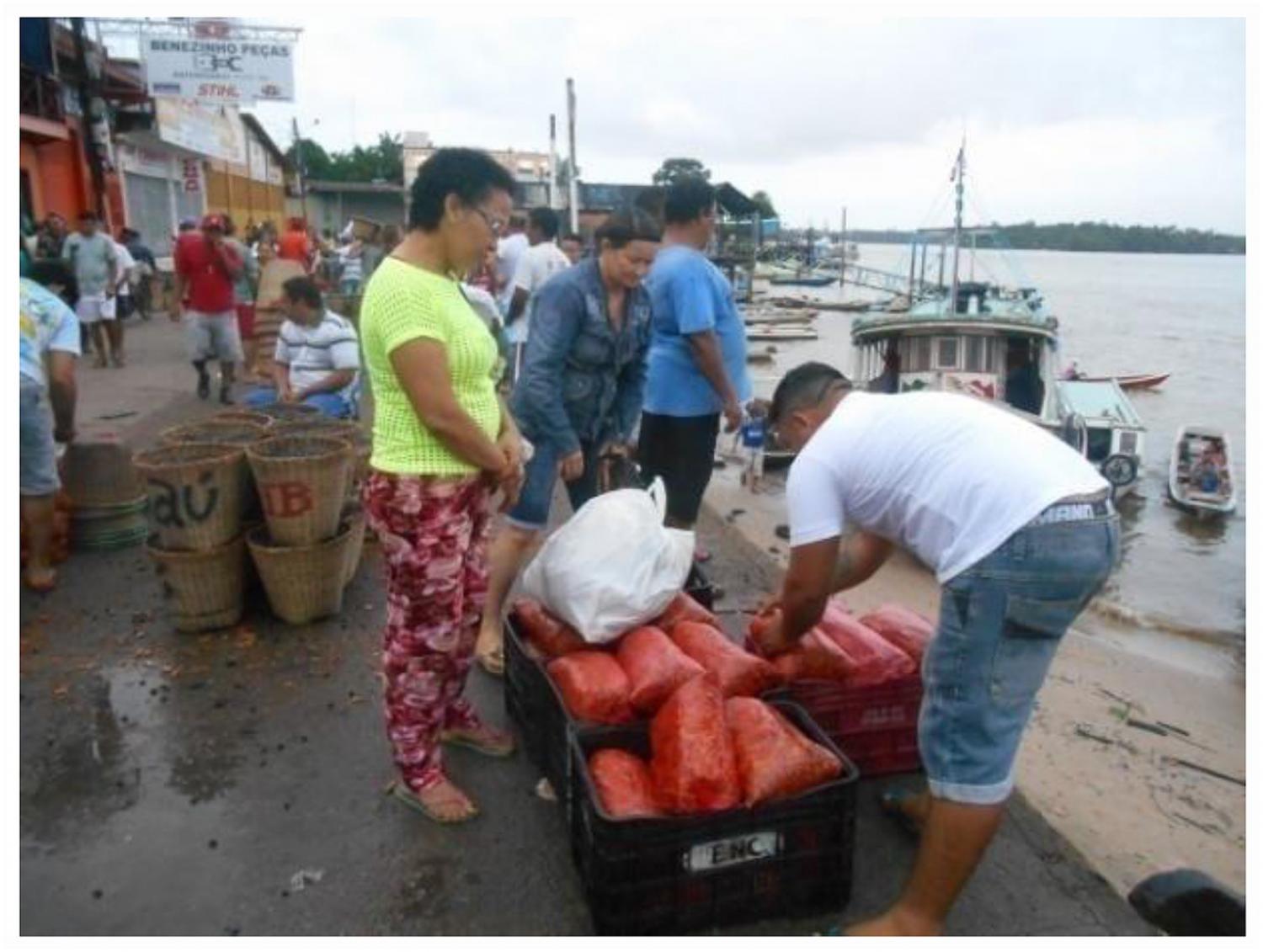 Extractivist-processor in direct selling of sacks of miriti's “pulp” for processors in Abaetetuba market. Photo: FFS, 2015.
