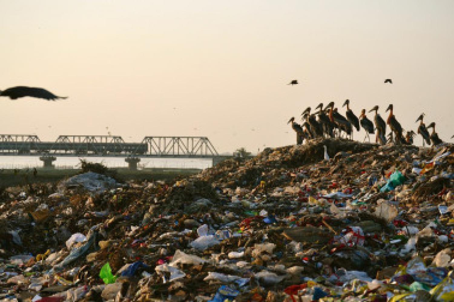 Scavengers at Boragaon dumpsite, Guwahati Assam, India.