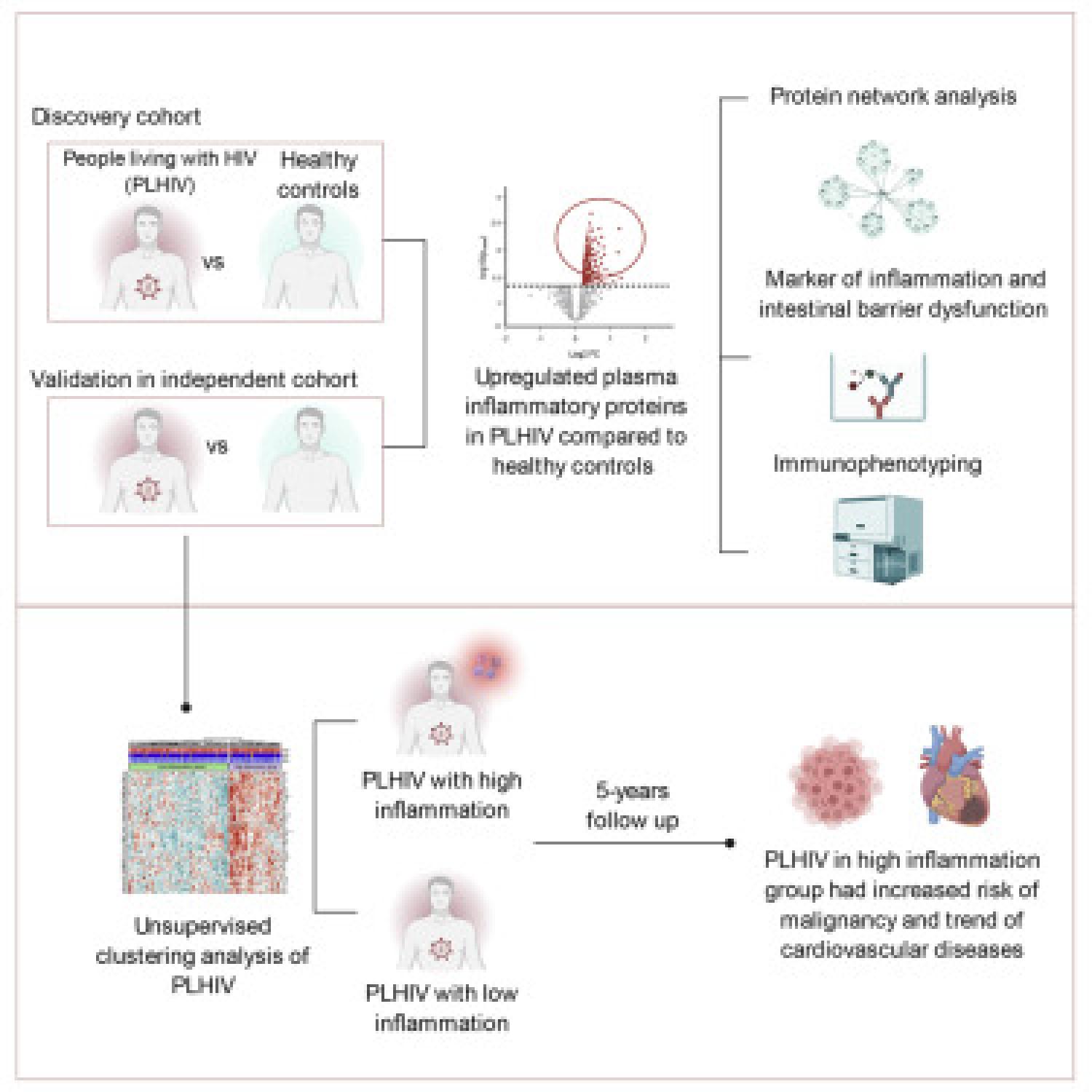 Graphical abstract Graphical abstract