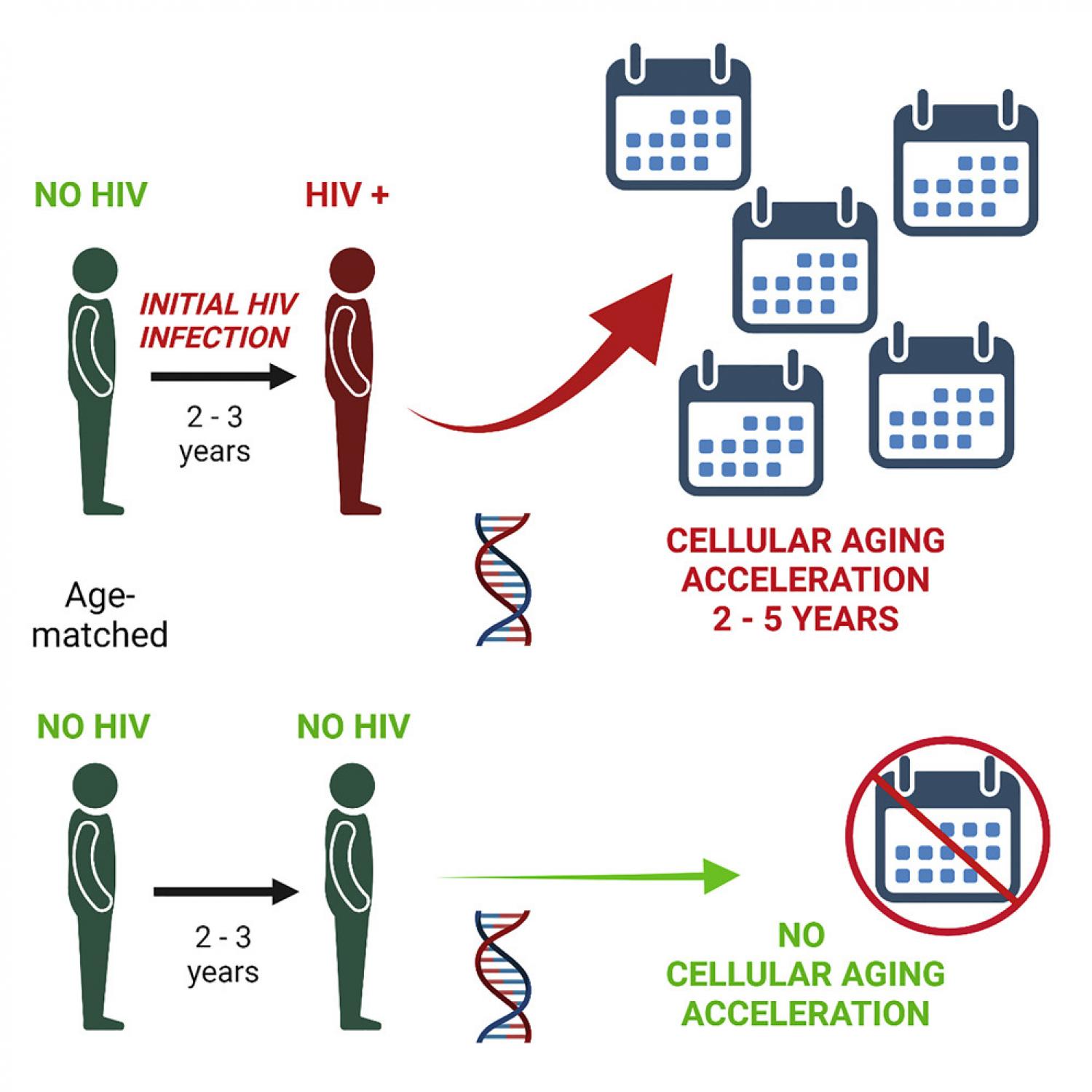 Graphical abstract Graphical abstract