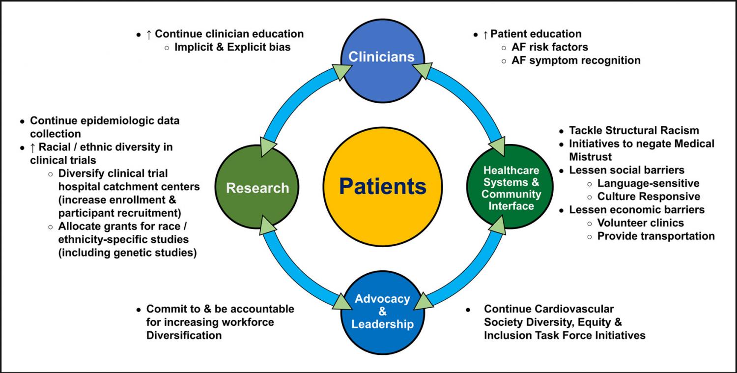 Racial and Ethnic Differences in the Management of Atrial Fibrillation: graphical abstract