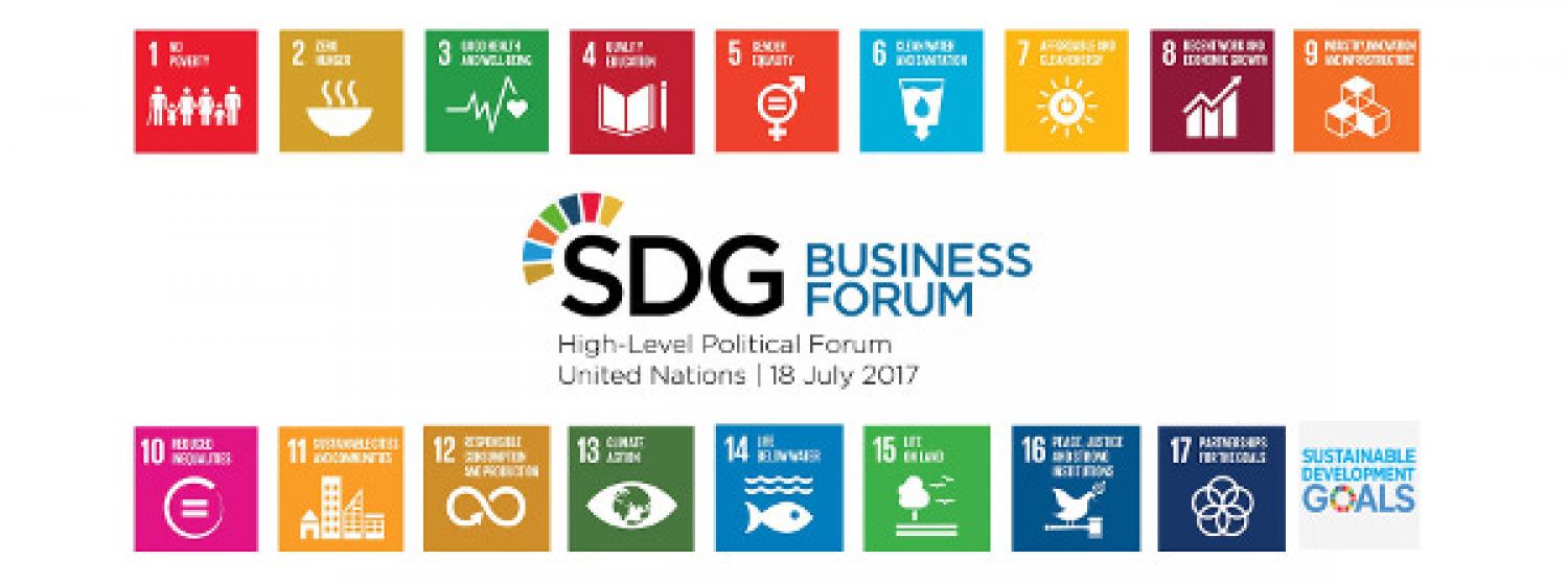 SDG Business Forum