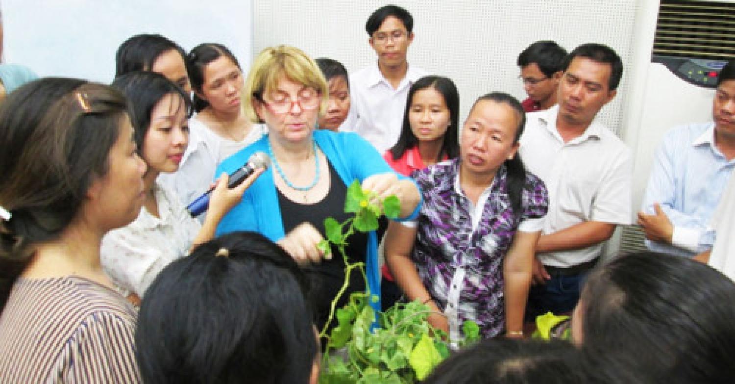 Prof. Jane Polston (Univ. of Florida) is hosted as visiting expert at Can Tho University in Vietnam (Photo by Nguyen Quoc Tuan) Prof. Jane Polston of the Department of Plant Pathology at the University of Florida is hosted as a visiting expert by the College of Agricultural and Applied Biology at Can Tho University in Vietnam, August 2015. (Photo by Nguyen Quoc Tuan)