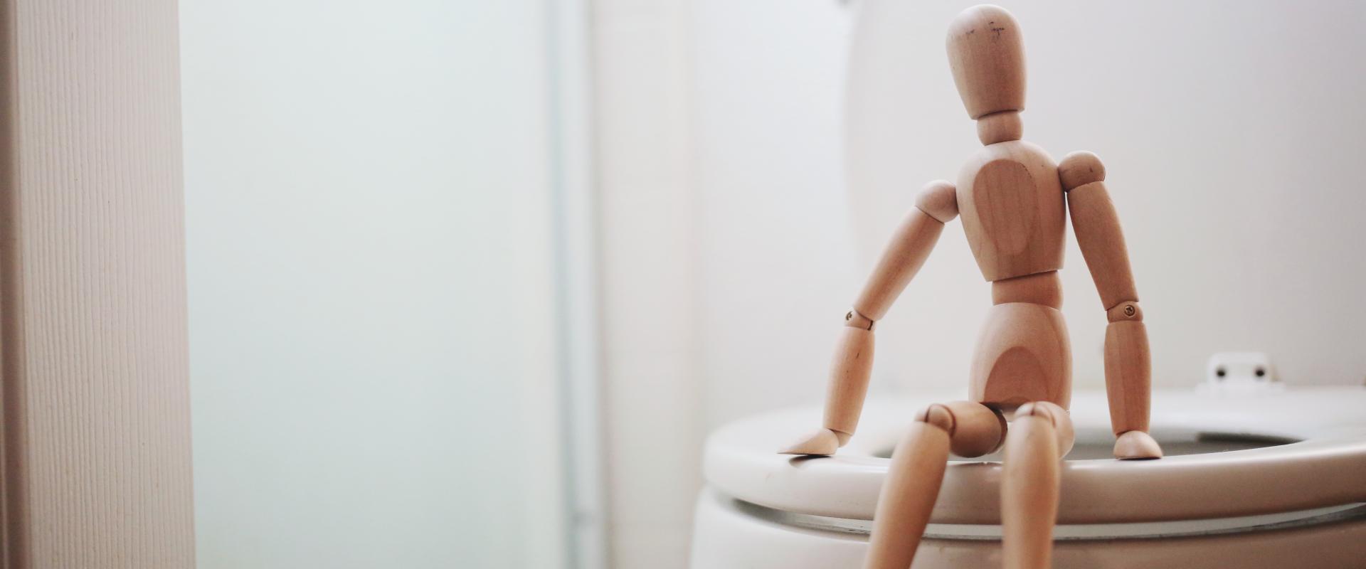 world toilet day